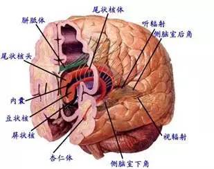 2022年医学生考研难度排名,医学生对口升学语数英的难度