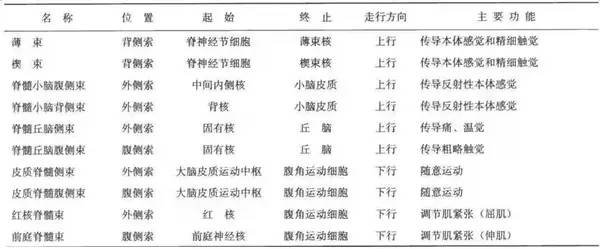 2022年医学生考研难度排名,医学生对口升学语数英的难度
