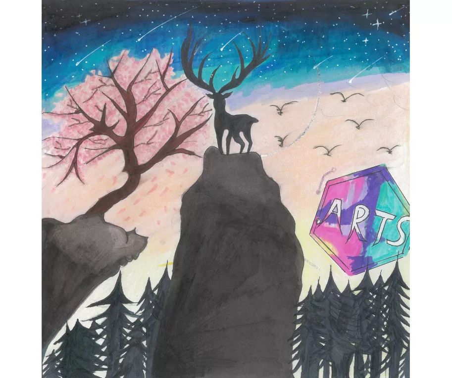 鎱х敾鏃犻檺,鎱х敾鏃犻檺娑傞甫娴锋姤