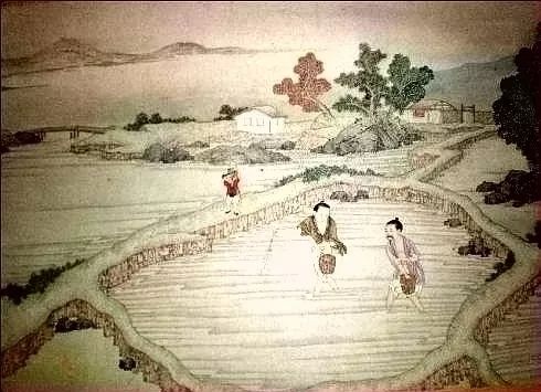 古代文明的起源及类型：有点讽刺，文明始于奴役及不平等