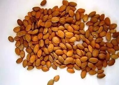 泰国治癣的药膏排行榜,泰国治疗皮肤癣的药膏