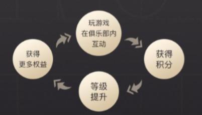 如何评价网易,网易游戏会员等级机制