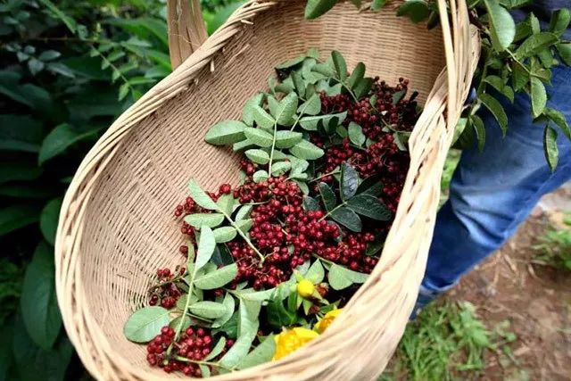 一条精选｜地道的四川香肠，暖风按摩足浴盆