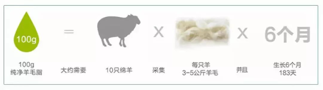 卖疯了!澳洲平价绵羊油,秋冬补水保湿首选,一罐用全身,英国女王都打call