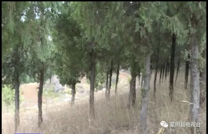 私设电网捕猎致人受伤,私设电网狩猎违法