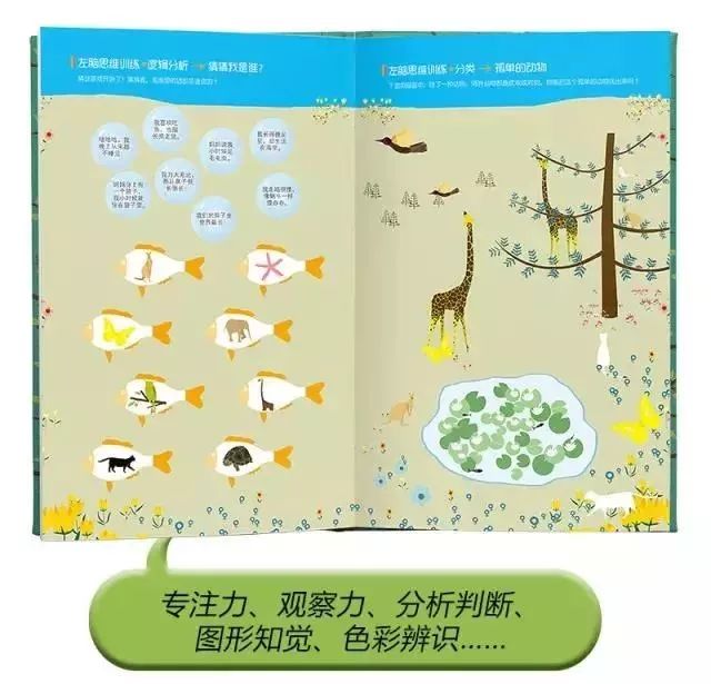 法国超神奇的101组全脑思维游戏书,3岁全脑开发思维游戏书
