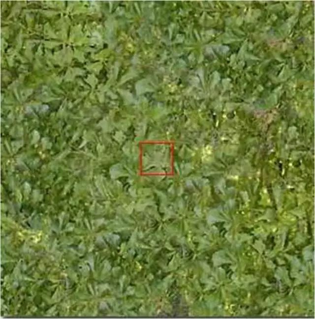 在宇宙里的地球只不过是一粒尘埃,宇宙无限大地球只是一颗尘埃