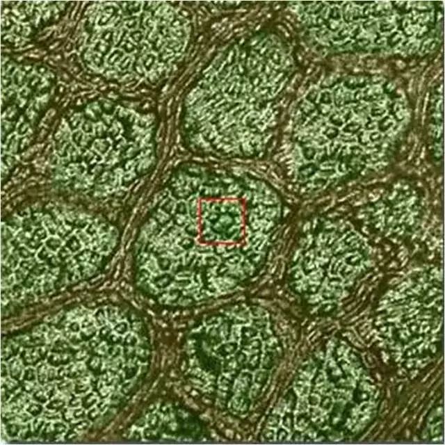 在宇宙里的地球只不过是一粒尘埃,宇宙无限大地球只是一颗尘埃
