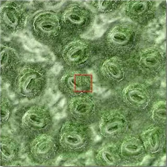 在宇宙里的地球只不过是一粒尘埃,宇宙无限大地球只是一颗尘埃