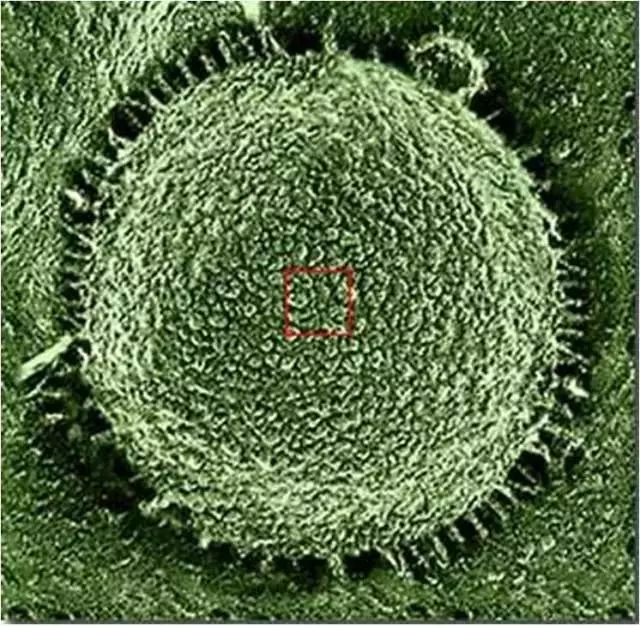 在宇宙里的地球只不过是一粒尘埃,宇宙无限大地球只是一颗尘埃