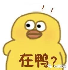 “亲,我们厂家名叫韩国代购呢”……双11后网友与客服爆笑聊天来袭!