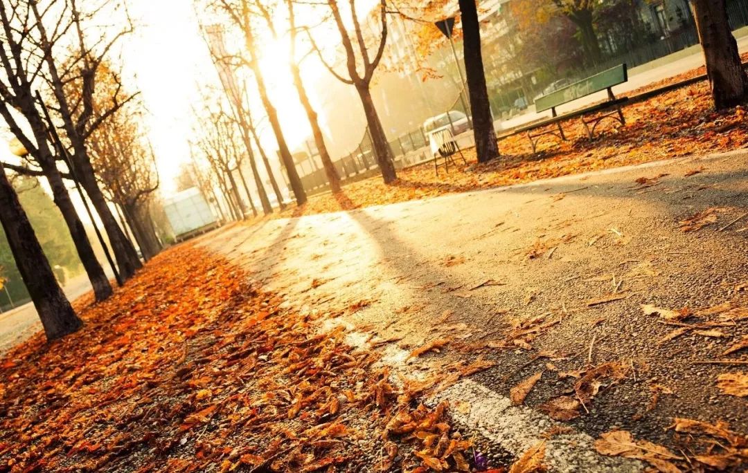 冬季皮肤干燥起皮用什么护肤,冬季脸上皮肤干燥起皮刺痛怎么办