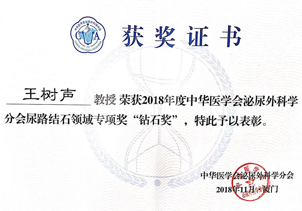 省中医人｜王树声教授获CUA（中华医学会）泌尿外科结石领域最高奖——“钻石奖”