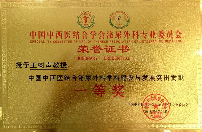 省中医人|王树声教授获CUA(中华医学会)泌尿外科结石领域最高奖——“钻石奖”