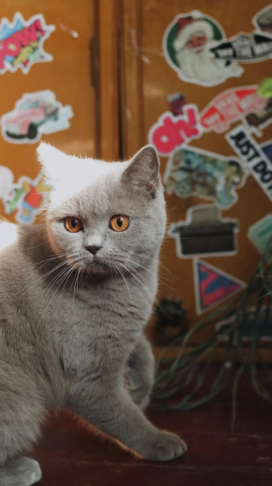 天津一对一咖啡厅,天津老洋房咖啡店