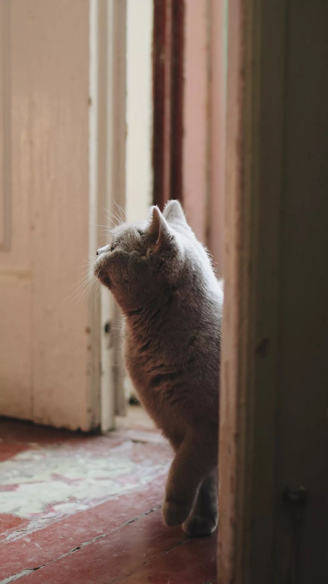 天津一对一咖啡厅,天津老洋房咖啡店