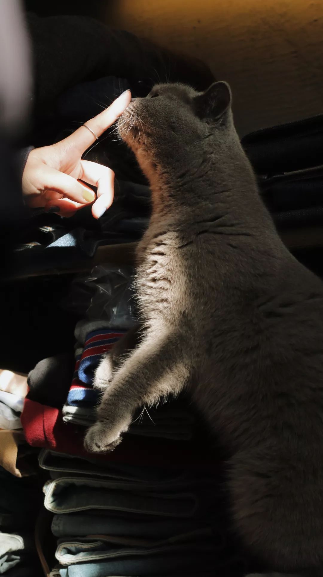 天津一对一咖啡厅,天津老洋房咖啡店