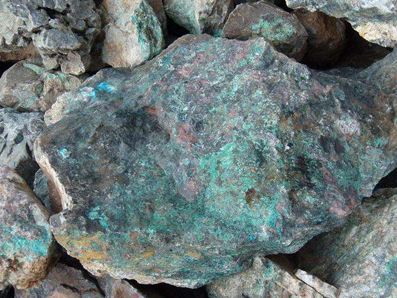 4.5亿,还是美元!进博会上,池州这家企业签下一笔大单