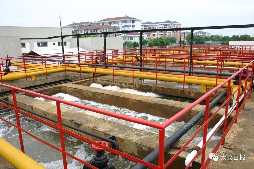 数说40年│太仓成“最具幸福感城市”，好环境绝对拿得出手！