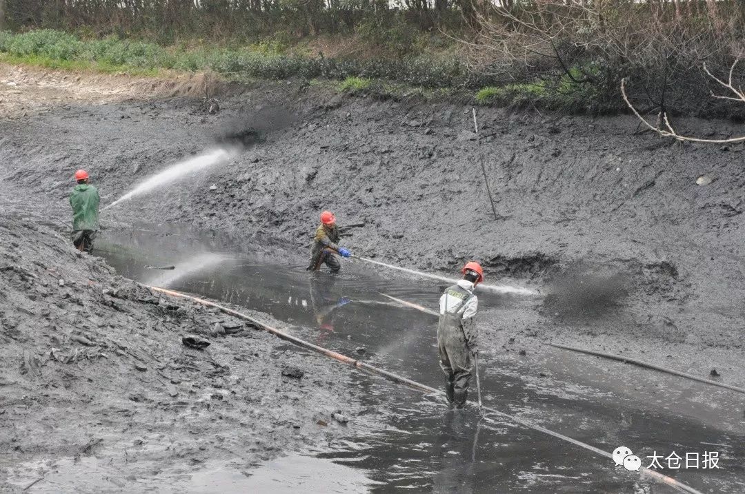 数说40年│太仓成“最具幸福感城市”，好环境绝对拿得出手！