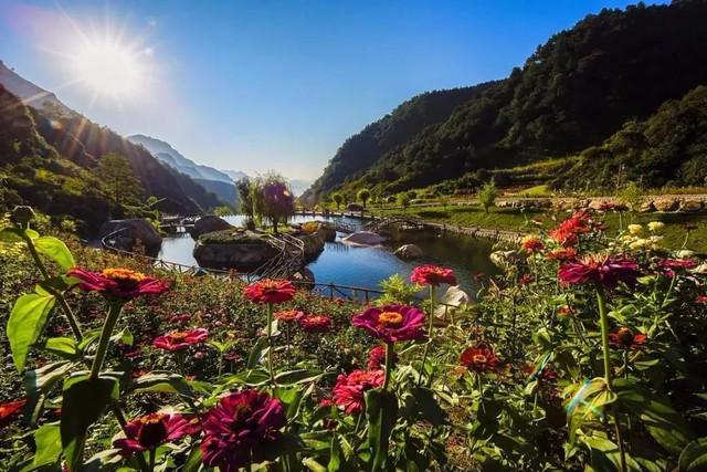 最美漫山花溪谷,漫山漫水花溪谷风景区