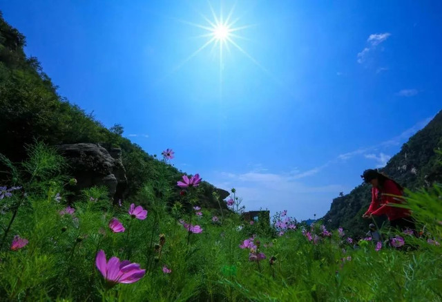 最美漫山花溪谷,漫山漫水花溪谷风景区