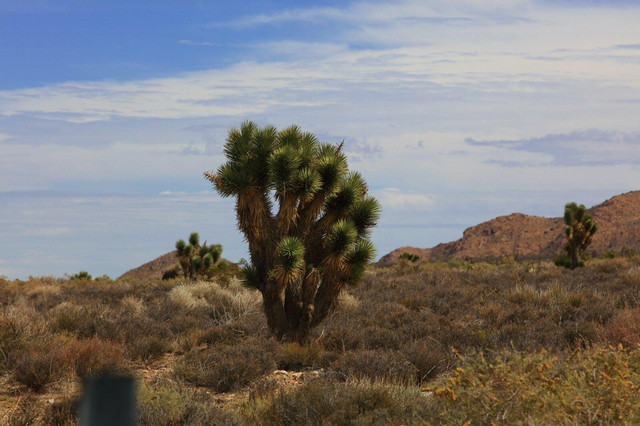 从美国飞往拉斯维加斯,从东到西穿越美国要多久