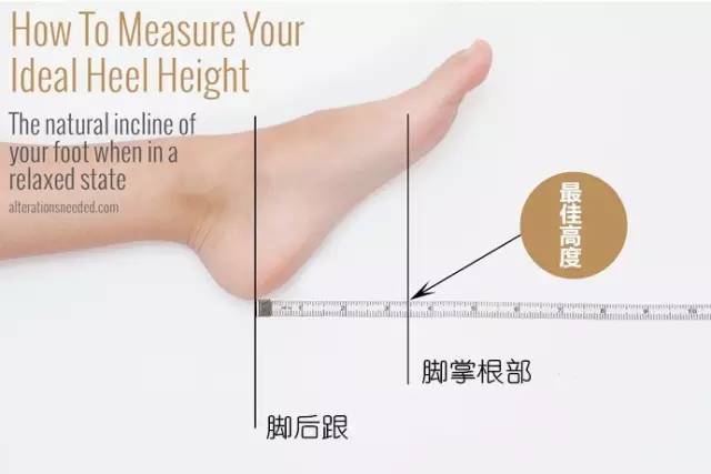 高跟鞋里放面包,高跟鞋这样穿轻松不累