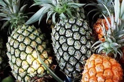 周边5天假期游玩攻略,放假15天的旅游攻略