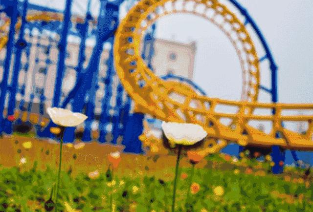 比“童言夫妇”更火爆的，可能只有鹿泉的TA们了！