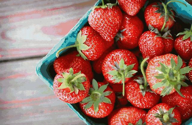 摘草莓去哪里摘,摘草莓去处