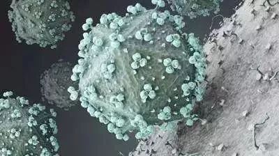 26岁男子感染梅毒,29岁男子查出梅毒