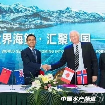 海产业竞争越演越烈！海产企业深度联合源头资源与下游渠道，不能再单打独斗了