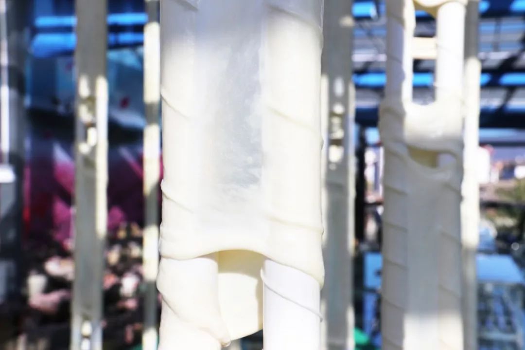 16斤鲜奶只出1斤乳扇，丽江也有自己的乳扇加工厂啦！只有1%的丽江人知道！