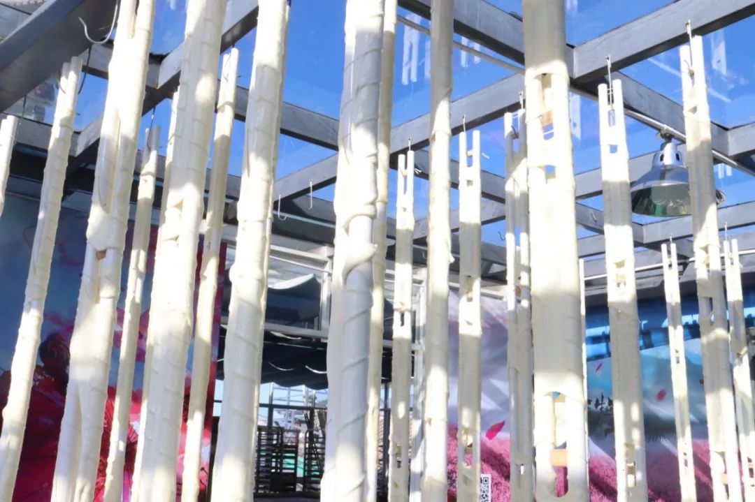 16斤鲜奶只出1斤乳扇，丽江也有自己的乳扇加工厂啦！只有1%的丽江人知道！