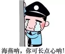 双十一谨防电信诈骗宣讲稿,双十一防范电信网络诈骗图片