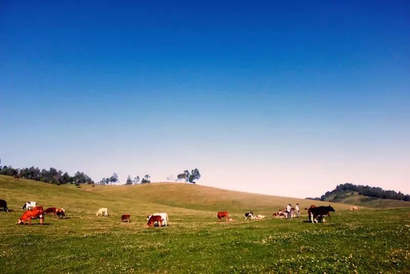 宝鸡最被全国熟知的是什么,宝鸡之最有哪些