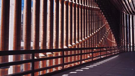 我赌!肯定有你想去的活动|JustPlay