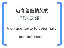 成为兽医的10个秘密,想成为兽医的第一步是什么