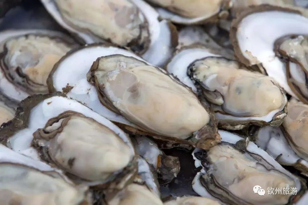 钦州的人,钦州人眼中的灵山