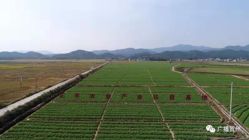 贺州新媒体采风活动第一站,广西贺州相约寿城