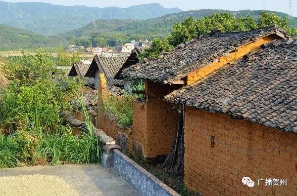 贺州新媒体采风活动第一站,广西贺州相约寿城