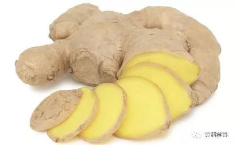健康小妙招生姜正确吃法建议收藏,生姜养生健康知识