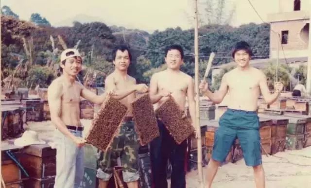 源自长白山天然保护区椴树雪蜜,采自长白山原始森林的蜂蜜