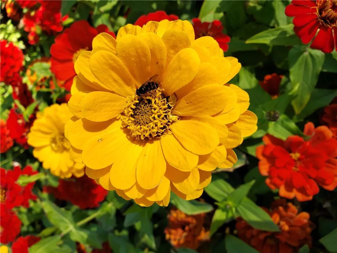 一加6t终极版功能,一加6t的真实使用体验