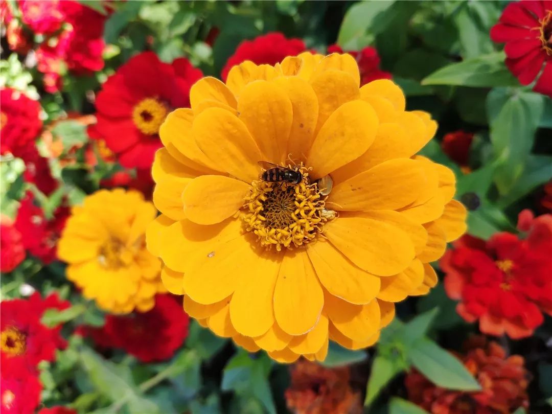 一加6t终极版功能,一加6t的真实使用体验