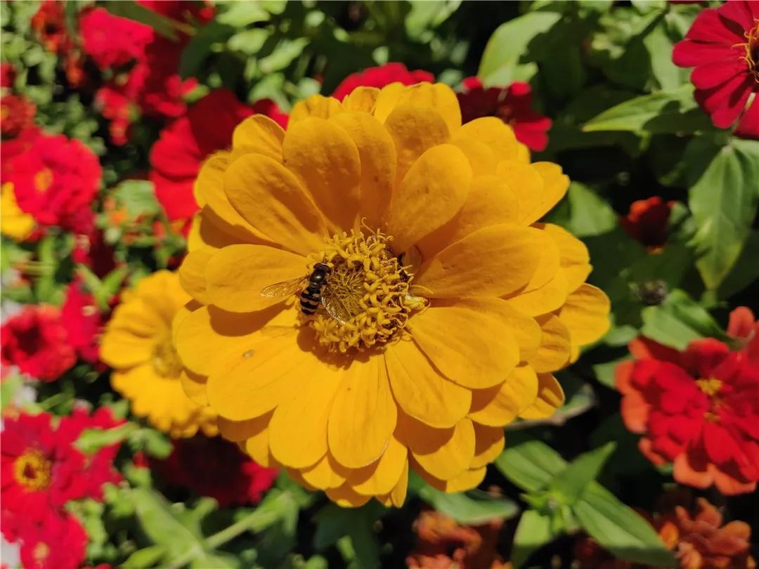 一加6t终极版功能,一加6t的真实使用体验