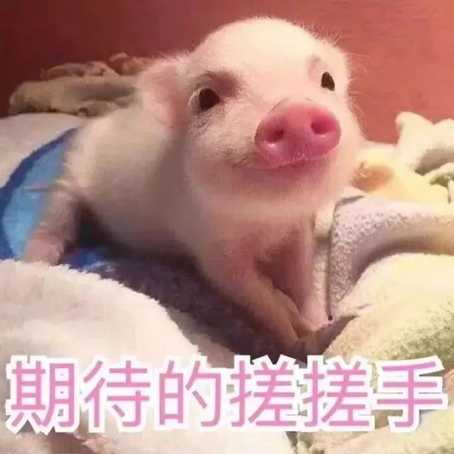 火爆ins，她画出了爱情最美的模样，甜哭！看完想恋爱……