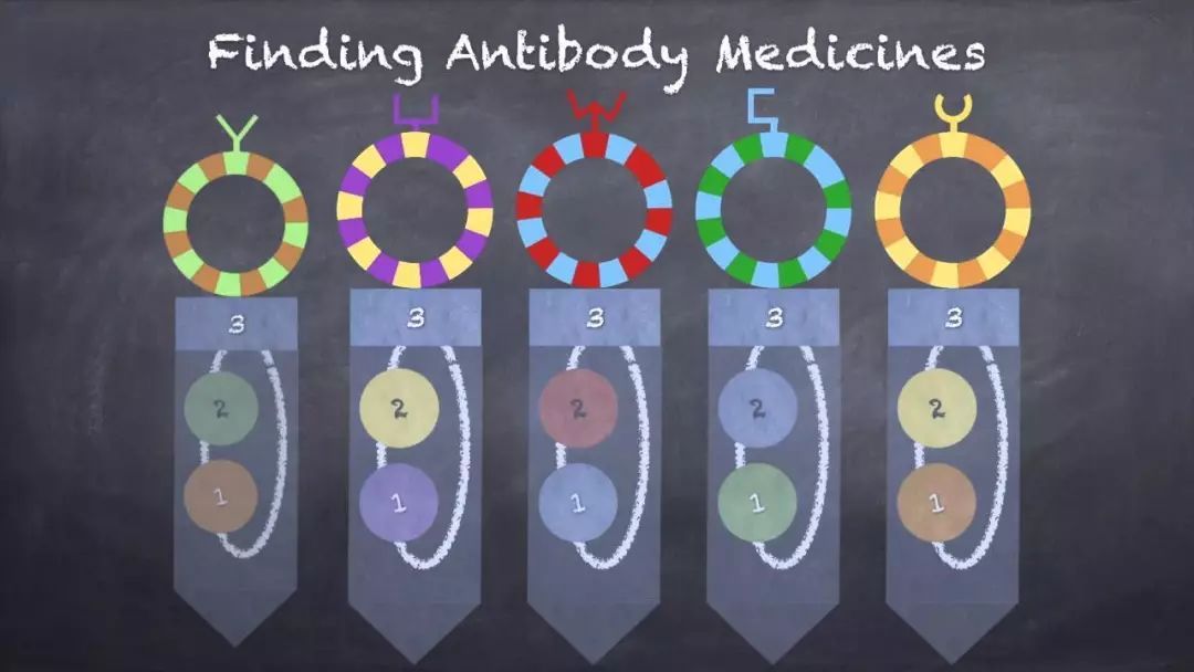 深度解密：PD-1战国时代，如何从单抗的结构和临床前药物特征，评价PD-1单抗的整体性能