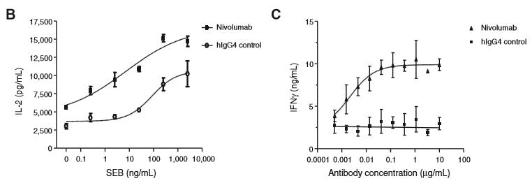 深度解密：PD-1战国时代，如何从单抗的结构和临床前药物特征，评价PD-1单抗的整体性能
